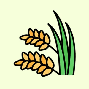 সীডস-নাটস